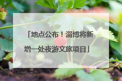地点公布！淄博将新增一处夜游文旅项目