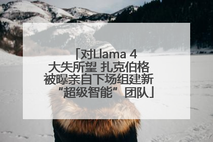 对Llama 4大失所望 扎克伯格被曝亲自下场组建新“超级智能”团队