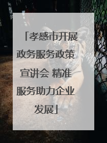 孝感市开展政务服务政策宣讲会 精准服务助力企业发展