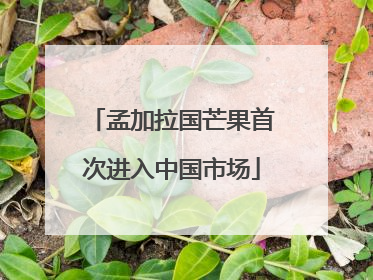 孟加拉国芒果首次进入中国市场