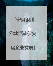 宁夏银川：党建活动促安居企业发展