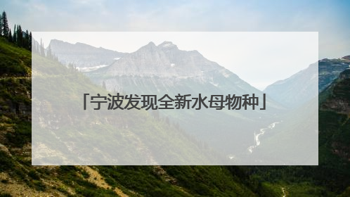宁波发现全新水母物种