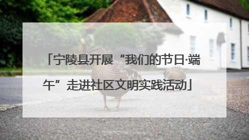 宁陵县开展“我们的节日·端午”走进社区文明实践活动