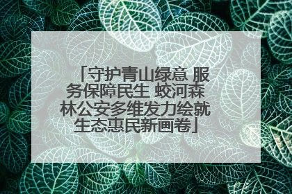 守护青山绿意 服务保障民生 蛟河森林公安多维发力绘就生态惠民新画卷