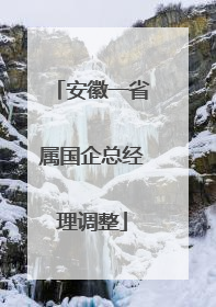 安徽一省属国企总经理调整