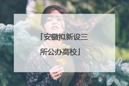 安徽拟新设三所公办高校