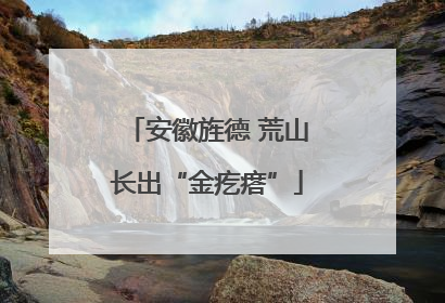 安徽旌德 荒山长出“金疙瘩”