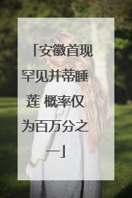 安徽首现罕见并蒂睡莲 概率仅为百万分之一