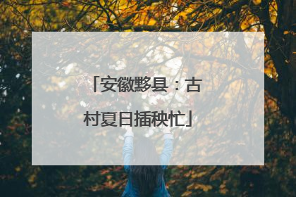 安徽黟县：古村夏日插秧忙