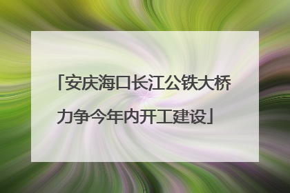 安庆海口长江公铁大桥力争今年内开工建设