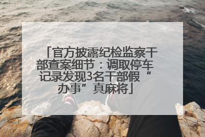 官方披露纪检监察干部查案细节：调取停车记录发现3名干部假“办事”真麻将