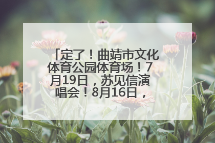 定了！曲靖市文化体育公园体育场！7月19日，苏见信演唱会！8月16日，萧敬腾演唱会！