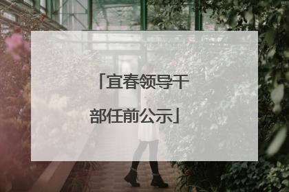 宜春领导干部任前公示
