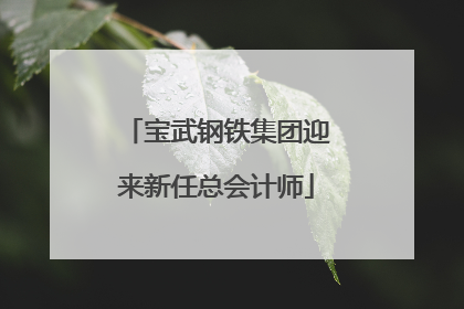 宝武钢铁集团迎来新任总会计师