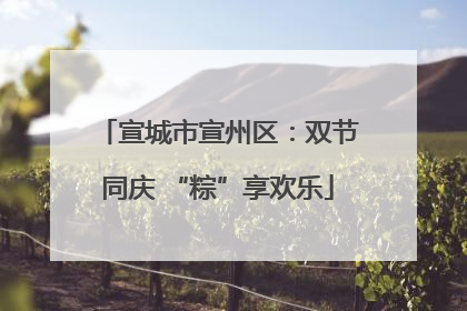 宣城市宣州区：双节同庆 “粽”享欢乐