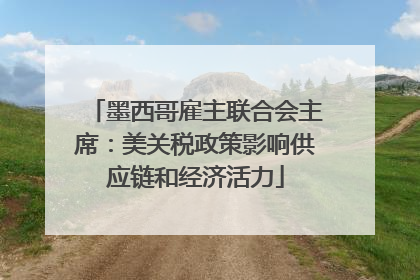 墨西哥雇主联合会主席：美关税政策影响供应链和经济活力