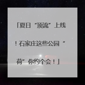 夏日“顶流”上线！石家庄这些公园“荷”你约个会！