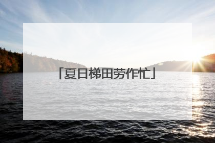 夏日梯田劳作忙