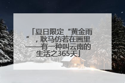 夏日限定“黄金雨”，耿马仿若在画里——有一种叫云南的生活之365天