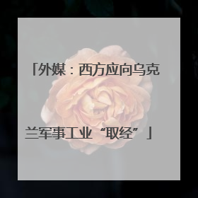 外媒：西方应向乌克兰军事工业“取经”