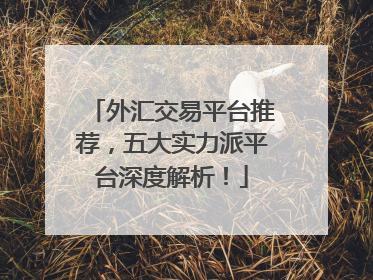 外汇交易平台推荐，五大实力派平台深度解析！