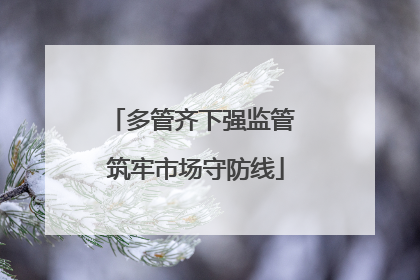 多管齐下强监管 筑牢市场守防线