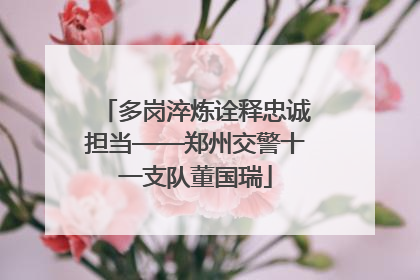 多岗淬炼诠释忠诚担当——郑州交警十一支队董国瑞