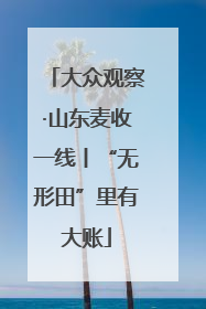 大众观察·山东麦收一线丨“无形田”里有大账