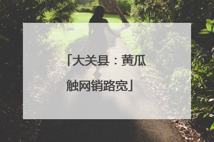 大关县：黄瓜触网销路宽