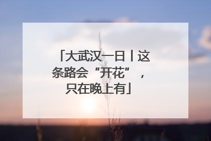 大武汉一日丨这条路会“开花”，只在晚上有