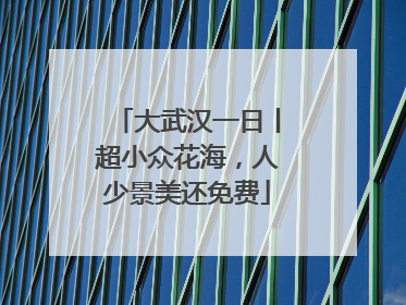 大武汉一日丨超小众花海，人少景美还免费