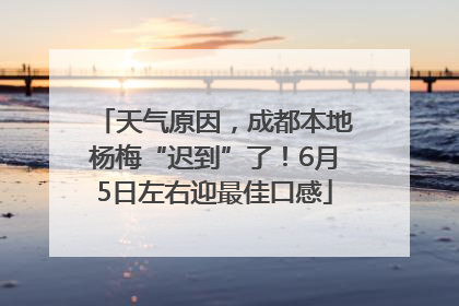 天气原因，成都本地杨梅“迟到”了！6月5日左右迎最佳口感