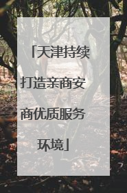 天津持续打造亲商安商优质服务环境