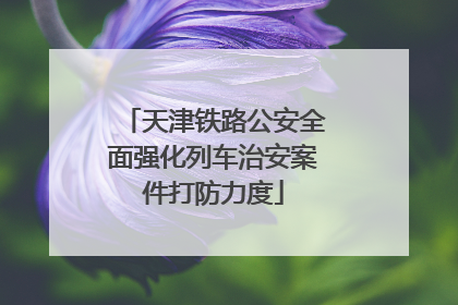天津铁路公安全面强化列车治安案件打防力度