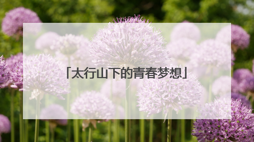 太行山下的青春梦想