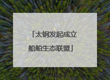 太钢发起成立船舶生态联盟