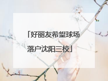 好丽友希望球场落户沈阳三校