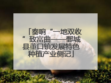 奏响“一地双收”致富曲——鄄城县董口镇发展特色种植产业侧记