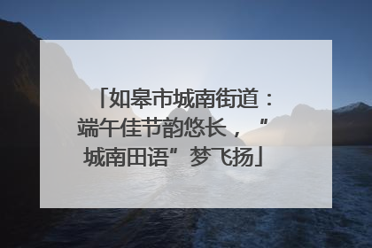 如皋市城南街道：端午佳节韵悠长，“城南田语”梦飞扬