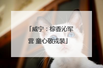 威宁：棕香沁军营 童心敬戎装