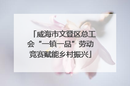 威海市文登区总工会“一镇一品”劳动竞赛赋能乡村振兴