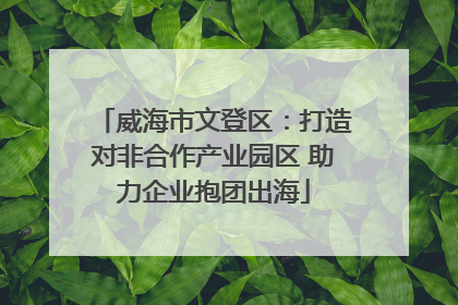 威海市文登区：打造对非合作产业园区 助力企业抱团出海