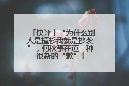 快评丨“为什么别人是撞衫我就是抄袭”，何秋亊在道一种很新的“歉”