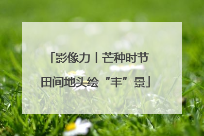 影像力丨芒种时节 田间地头绘“丰”景