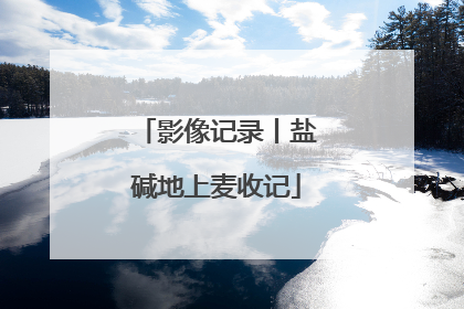 影像记录丨盐碱地上麦收记