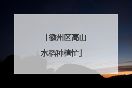 徽州区高山水稻种植忙