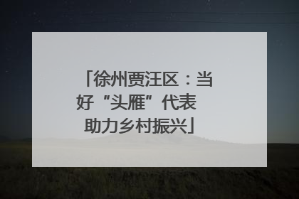 徐州贾汪区：当好“头雁”代表 助力乡村振兴