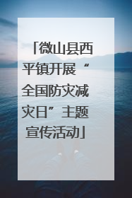 微山县西平镇开展“全国防灾减灾日”主题宣传活动
