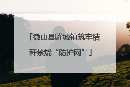 微山县驩城镇筑牢秸秆禁烧“防护网”