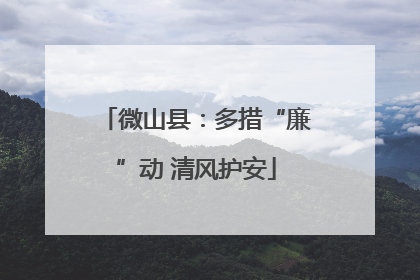 微山县：多措“廉”动 清风护安